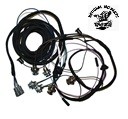 1969 Charger Taillight Harness